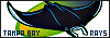 Tampa Bay Rays