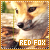Foxes: Red