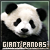 Pandas: Giant