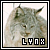 Lynxes