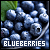 Blueberries