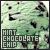 Ice Cream: Mint Chocolate Chip