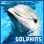 Dolphins