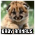 Baby Animals