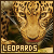Leopards