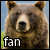 Bears